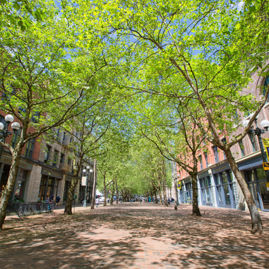 Photo of Capitol Hill Neighborhood

By JSeattle | Capitol Hill Seattle
June 25, 2024